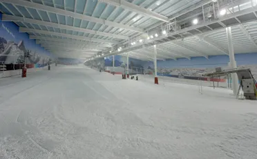 The Snow Centre